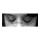[.click p-ver obras.]